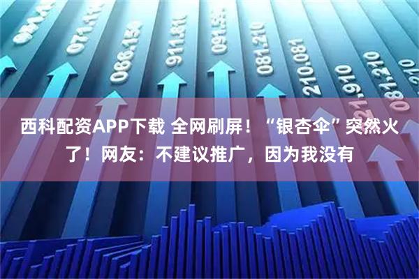 西科配资APP下载 全网刷屏！“银杏伞”突然火了！网友：不建议推广，因为我没有